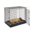 thumbnail image 4 of MidWest Homes For Pets Wire Dog Crate, Double Door, Foldable, Durable, Leak-Proof Pan Included, Metal, Black, Extra Extra Large, 54" L x 37" W x 45" H, 4 of 9