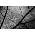 thumbnail image 2 of Chiarello, Matteo 14x11 White Modern Wood Framed Museum Art Print Titled - Streets, 2 of 4