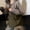 Green-GN-clearacne, variant on Dyegold Large Capacity Canvas Tote Bag for Women with Zipper Closure Multi-Use Shoulder Crossbody Handbag for Work Travel Shopping Holds 14 Inch Laptop 17x13 Inch