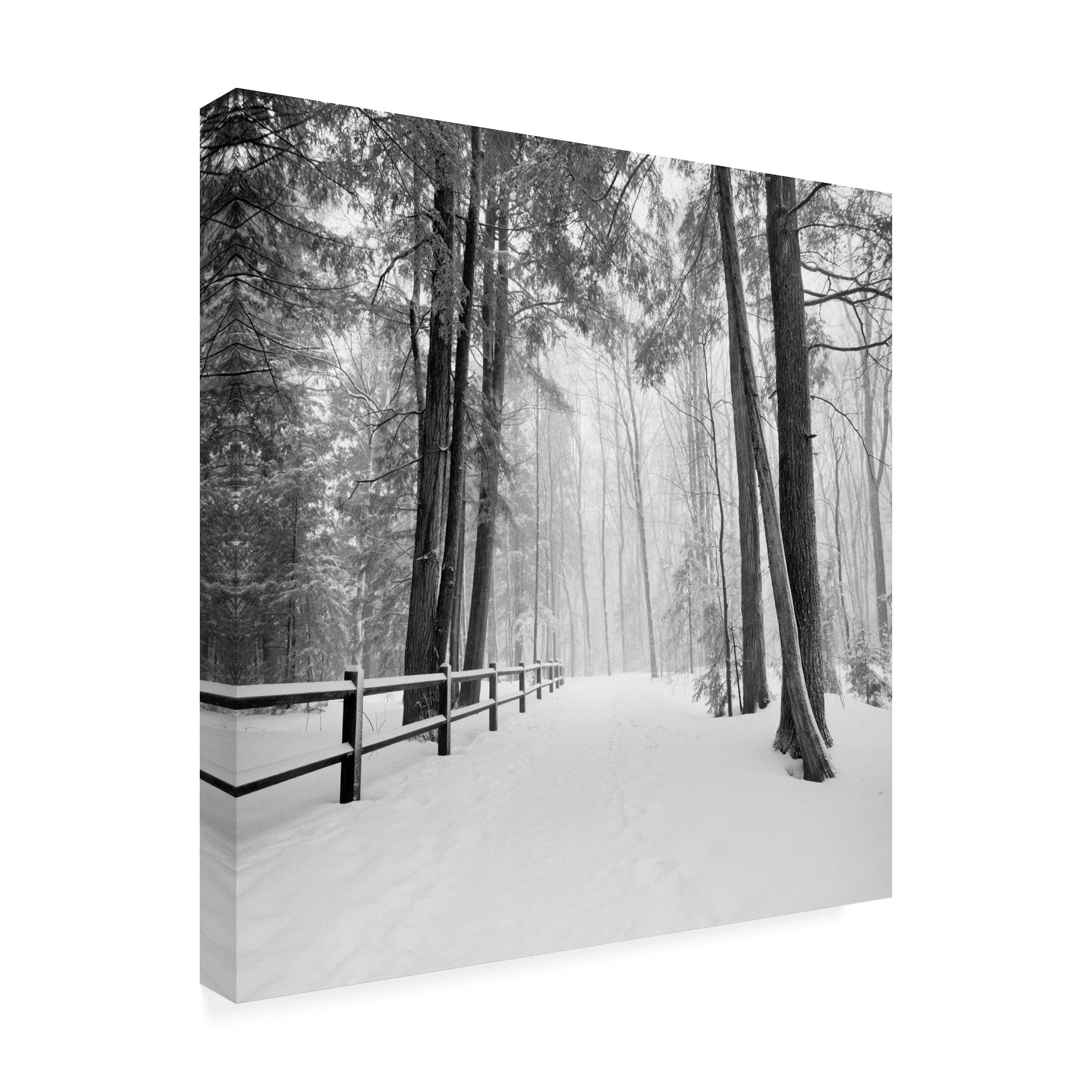 Trademark Fine Art 'Winters Path' Canvas Art by Monte Nagler