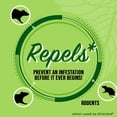 thumbnail image 3 of Mighty Mint Rodent Repellent, 130 fl. oz., 3 of 8