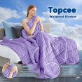 thumbnail image 2 of Manta con Peso Topcee Minky Dots para Adultos 6.8 kg 120x180 cm, 2 of 7