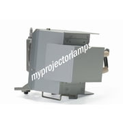 Optoma HD143X Projector Lamp with Module