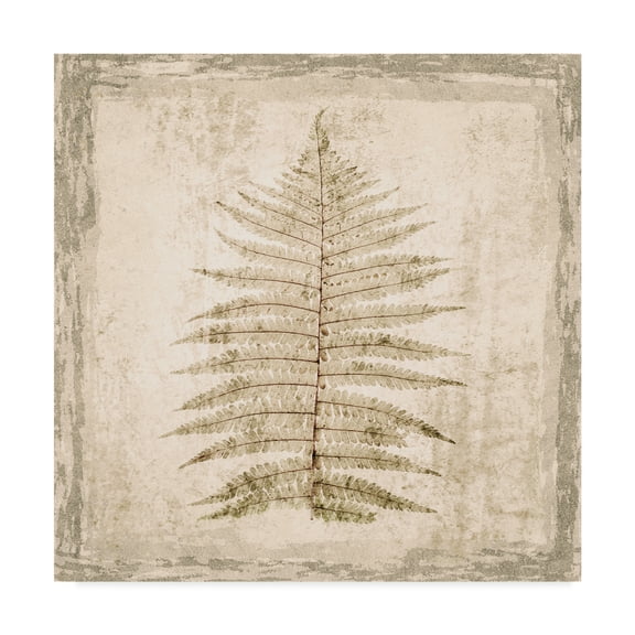 Trademark Fine Art 'Stone Leaf I' Canvas Art by Irena Orlov