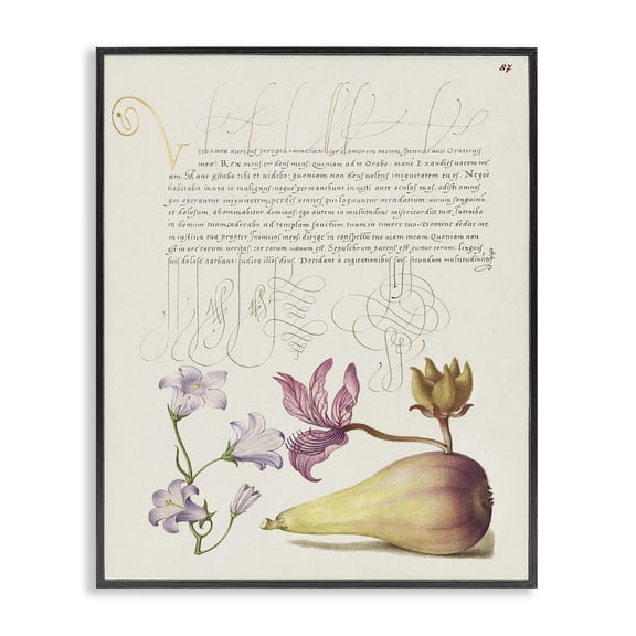 Stupell Industries Transitional Classical Cottage Plants Black Framed Giclee Art, 11 x 14, by Melissa Wang