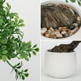 thumbnail image 3 of GnFlus 9.8"Artificial Bonsai Tree White Ceramic Pot Office Desk Table Home Decor, 3 of 6