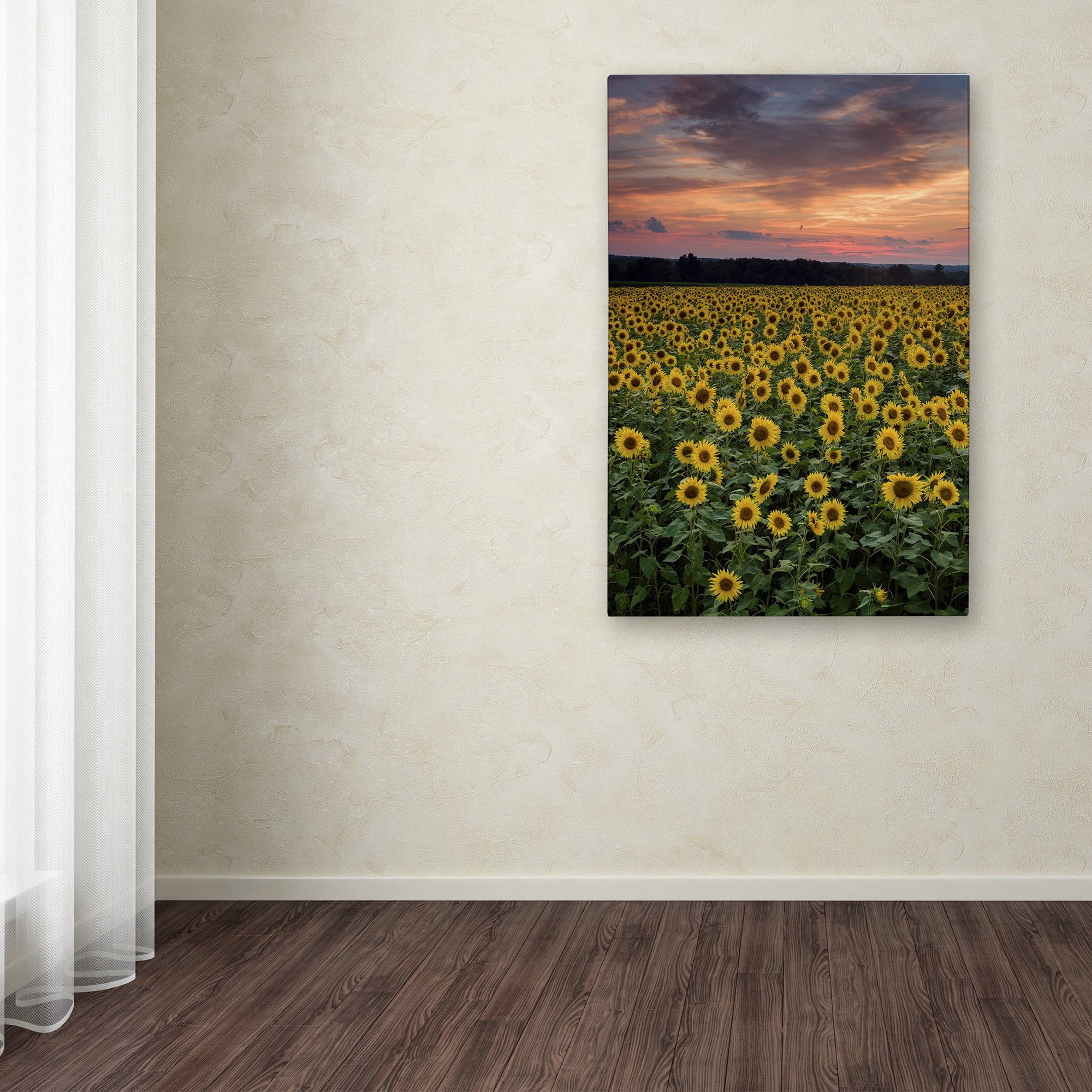 Trademark Fine Art "Sunflowers" Canvas Art by Michael Blanchette Photography