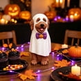 thumbnail image 2 of Clearance Gunhay Halloween Ghost Goldendoodle Dog Figurine, 7.9" Resin Doodle Goldendoodle Dog Statue with Pumpkin Bow Tie, 2 of 8