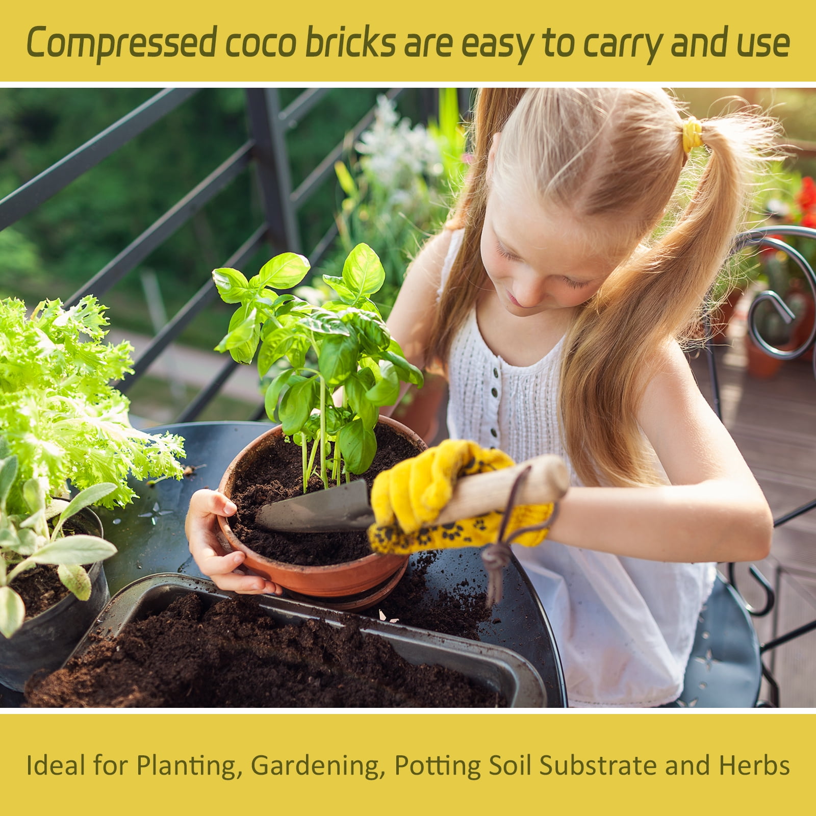 Pack of 1 Organic Coco Coir Bricks- 100% Natural Compressed Coco Peat Brick Coconut Fiber Substrate with Low EC& pH Balance, Coir Plant Soil Enhance Root Growth for Herbs, Flowers, House Plants