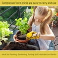 thumbnail image 5 of Pack of 1 Organic Coco Coir Bricks- 100% Natural Compressed Coco Peat Brick Coconut Fiber Substrate with Low EC& pH Balance, Coir Plant Soil Enhance Root Growth for Herbs, Flowers, House Plants, 5 of 7