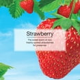 thumbnail image 4 of Little Trees Auto Air Freshener, Hanging Card, Strawberry Fragrance, 6-Pack, 4 of 9