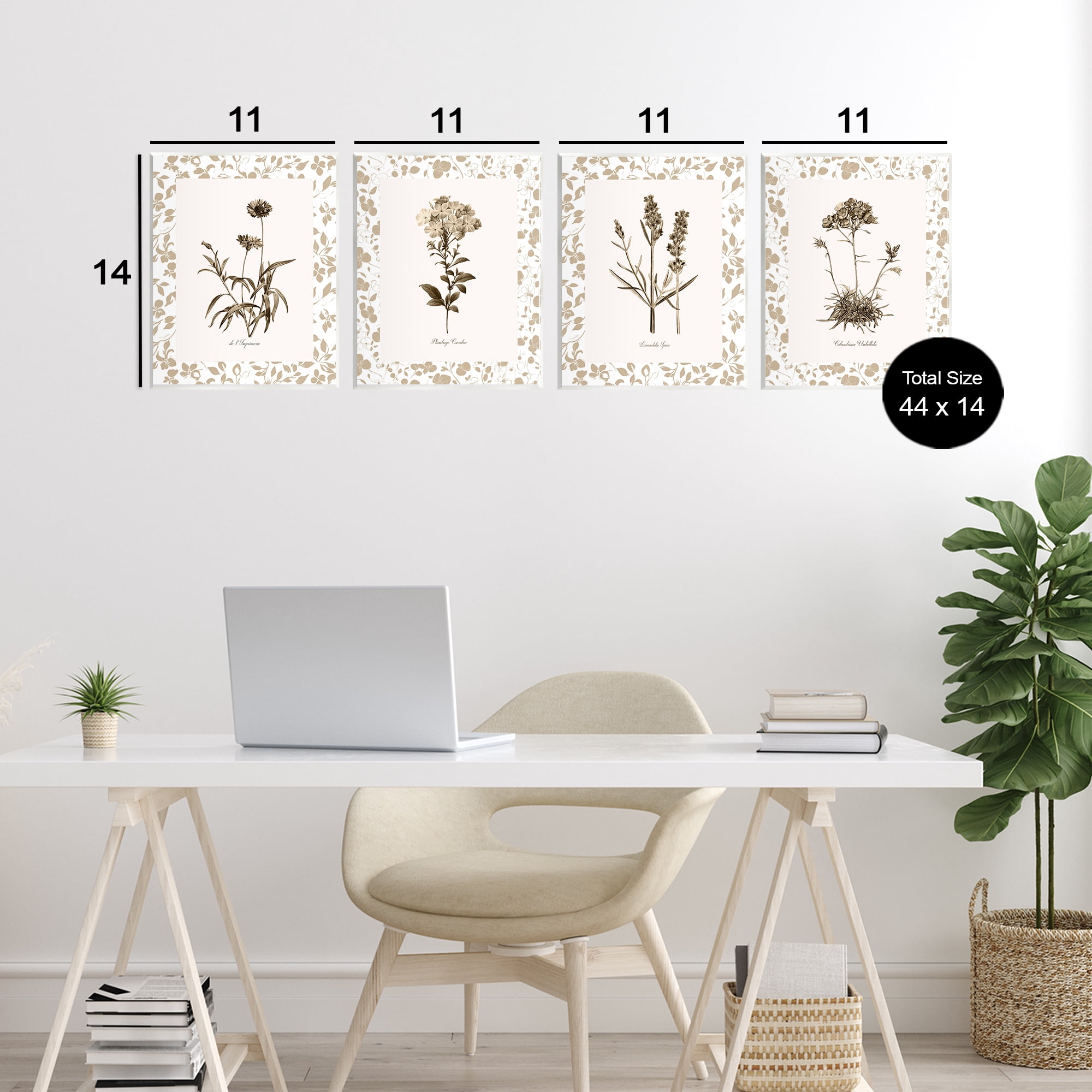 Stupell Industries Neutral Imperial Flower Studies 4 Piece Wall Plaque Art Set, design by Kelly Donovan