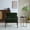 Green + Black, variant on Modern Armchair with Metal Frame & Natural Wood Armrests, Plush Cushions, White+Black