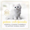 thumbnail image 4 of Purina Fancy Feast Kitten Food Wet Cat Food Salmon & Milk 3 oz Can (Pack of 9), 4 of 6