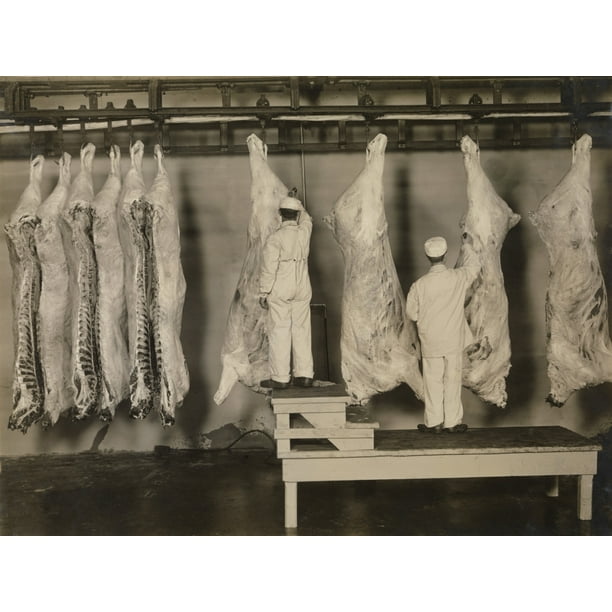 Federal Meat Inspectors Examine Animal Carcasses In 1910. The Pure Food