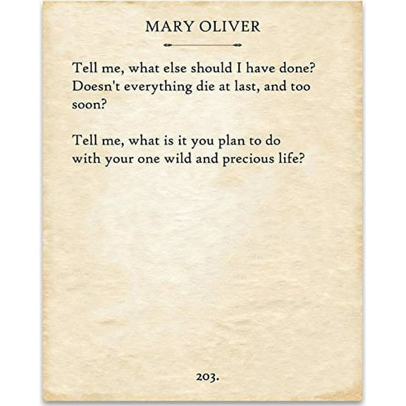 Mary Oliver - The Summer Day. - 11x14 Unframed Typography Book Page Print - Great Gift for Book Lovers