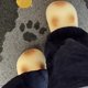 thumbnail image 4 of Pantuflas De Invierno Con Forma De Pata, Impermeables, Cerradas Y Acolchadas, Forro Polar, Tallas 40-41, Soporte Suave En El Taln, Clidas Para Usar En Interiores, Para Relajarse En La, UKHBMC, 4 of 8