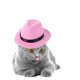 thumbnail image 5 of Sombrero de vaquero para mascotas Yinane gorra de Cosplay para perro gato disfraz de conejo cordón ajustable accesorios para el cabello Rosado, 5 of 7