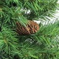 thumbnail image 2 of Northlight 6.5' Full Dakota Red Pine with Pine Cones Artificial Christmas Tree - Unlit, 2 of 2