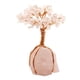 thumbnail image 1 of Árbol del dinero Feng Shui Bonsái Árbol de la suerte Adornos de decoración espiritual para el hogar Rosa, 1 of 9