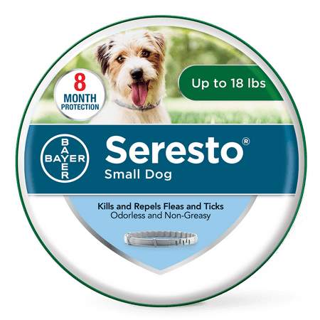 Seresto Flea and Tick Prevention Collar for Small Dogs, 8 Month Flea and Tick (Best Flea Collar For Dogs)