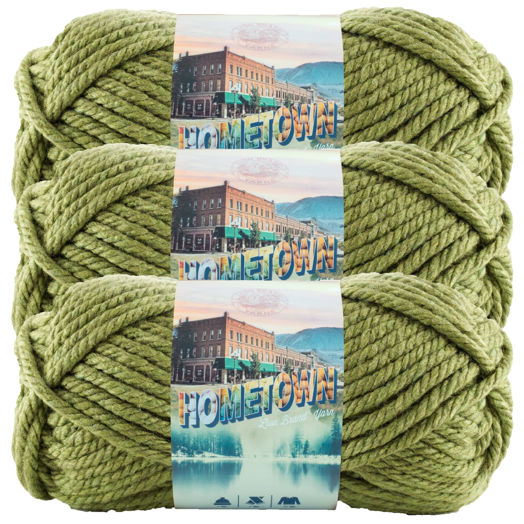 Lion Brand Yarn Hometown Oklahoma City Green Basic Super Bulky Acrylic Green Yarn 3 Pack