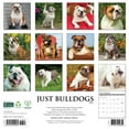 thumbnail image 2 of Bulldogs 2026 Wall Calendar, (Paperback), 2 of 5