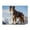 500 Pieces, variant on 500-Piece Wooden Jigsaw Puzzle for Adults - Dog Mountain Peak Sky , Challenging Family Art Project, Unique Home Wall Decor Gift