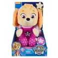 thumbnail image 3 of PAW Patrol Skye Snuggle up Pup Plush Toy, 3 of 3