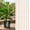 20PCS, variant on Lethargic Electroculture Plant Stakes, 12, 14 or 17 in Copper Wire and Wood Spiral Garden Stakes for Indoor and Outdoor Plants (12'', 5PCS