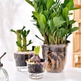 thumbnail image 4 of Self Watering Plant Flower Pot with Water Level Indicator for Office, Garden, Balcony, 4 of 8