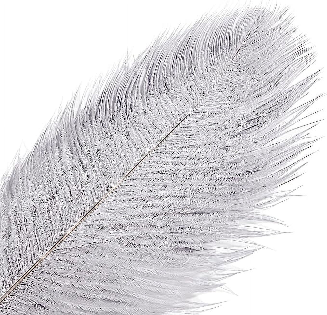 NAMZI 12pcs Gray Bulk Natural Ostrich Feathers 16-18Inch (40cm-45cm), Perfect for Wedding, Party Centerpieces, Easter & Home Decoration