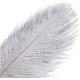 thumbnail image 3 of Xiao Hua Plumas de avestruz grises, 12 unidades, grandes, naturales, a granel, de 30 a 35 cm, para centros de mesa de bodas, fiestas, Pascua, Gatsby y decoración del hogar., 3 of 5