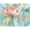 thumbnail image 3 of Dyer, Beverly 14x12 Black Modern Framed Museum Art Print Titled - Blush Rose, 3 of 5