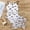 White, variant on RTKFRFLM Girls 2-Piece One Piece Swimsuit with Skirt Cute Butterfly Print Boutique Bathing Suit for Ages 8-13