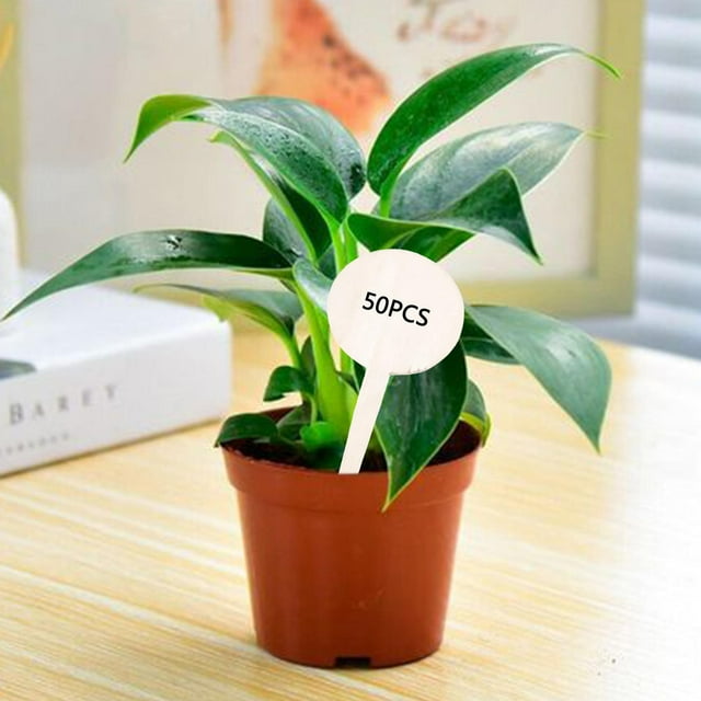50 Uds., Etiquetas para plantas, etiquetas en apariencia de T, etiquetas para letreros de plantas, para macetas de jardín para las, hierbas Redondo DYNWAVEMX Etiqueta de plantas
