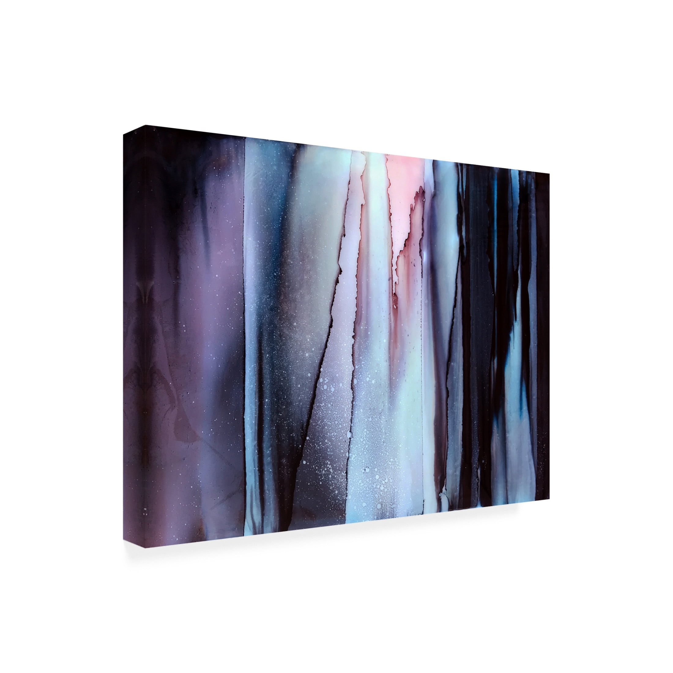 Trademark Fine Art Alyson Storms  Focus Canvas Wall Art