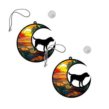 

Sanamity Metal Hanger Over Cupboard Hooks 2 Pack Indoacrylic Decorative Home Window Decoration Hanging Piece Hanging Tag Kitchen Hooks