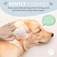 thumbnail image 5 of 70-Count Dog Ear & Finger Wipes – Soft Non-Woven Wipes for Gentle Pet Grooming, 5 of 8