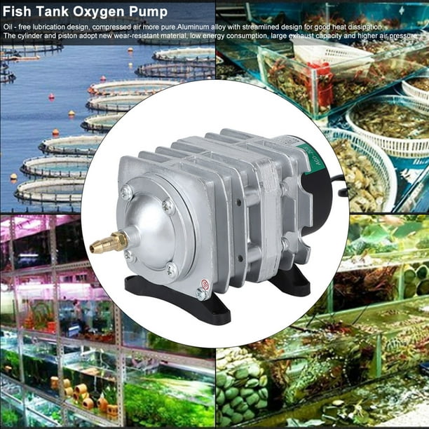 Pompe à Oxygène Pour Aquarium Compresseur D'air D'aquarium