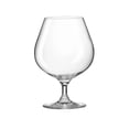 thumbnail image 1 of Copa Rona Brandy Universal de 530 ml, 1 of 3