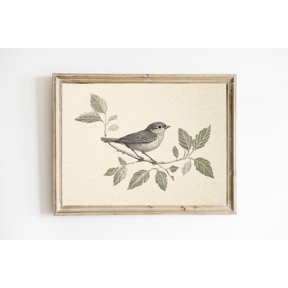Vintage Bird Print Poster Neutral Country Farmhouse Wall Decor Poster Sage Green Cottagecore Nursery Wall Art Poster E590, Unframed Poster Size 8x12 F03.1.18l1144