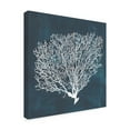 thumbnail image 2 of Trademark Fine Art 'Inverse Sea Fan II' Canvas Art by Grace Popp, 2 of 4