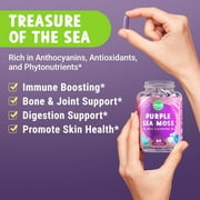 Maju Superfoods Purple Sea Moss Mineral Supplement Immune, Bone & Joint Support 60 Count 60 Capsules