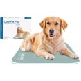 thumbnail image 1 of Cool Pet Pad - Large, Sage Grey - Self-Cooling, Pressure Activated Mat for Dogs & Cats from 46-80 lbs - Non-Toxic Gel, No Water Needed, 1 of 5