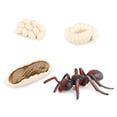 thumbnail image 1 of 1 Set Spade Worm Model Premium Plastic Material Meaningful Insect Figurines Early Educational Growing Models for School Project red ant, 1 of 6
