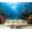 Color 2, variant on Wall Mural Peel and Stick Antarctic Wildlife Penguins Seal Ice Floes Pristine Icy Ocean Self-Adhesive Wallpaper Removable Wall Decal Wall Sticker Home Decor for Living Room Bedroom 100"x144"