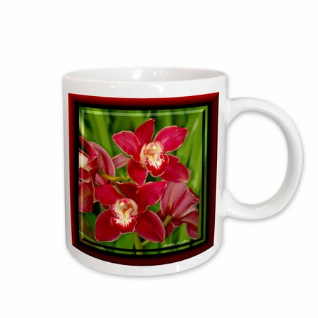 

3dRose The Color Of Love Orchids - Photography Flowers Ceramic Mug 15-ounce
