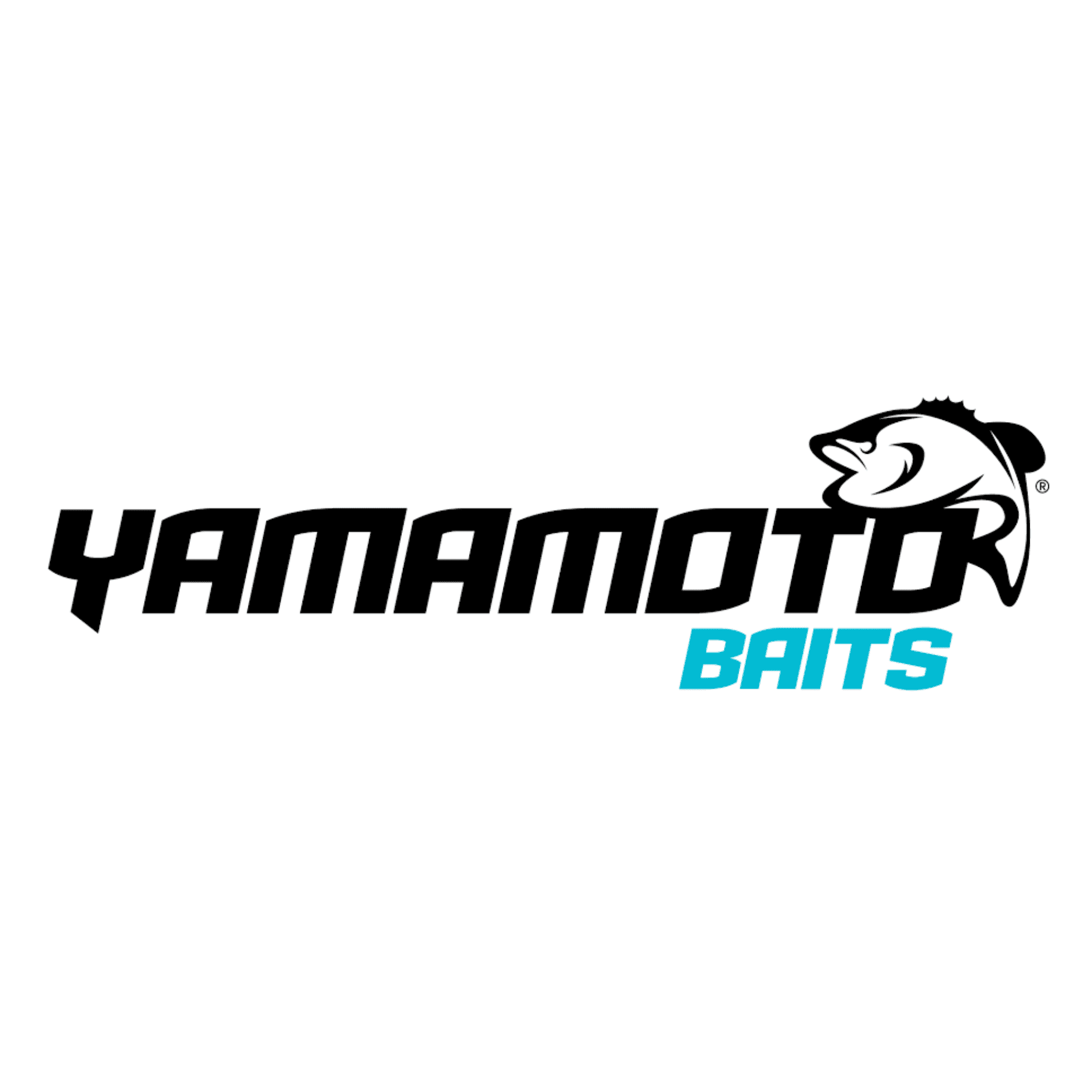 (2 pack) Yamamoto Baits Senko Soft Plastic Worm 5" - Green Pumpkin/Black Flake