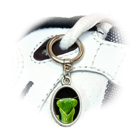 Praying Mantis Oval Shoe Charm